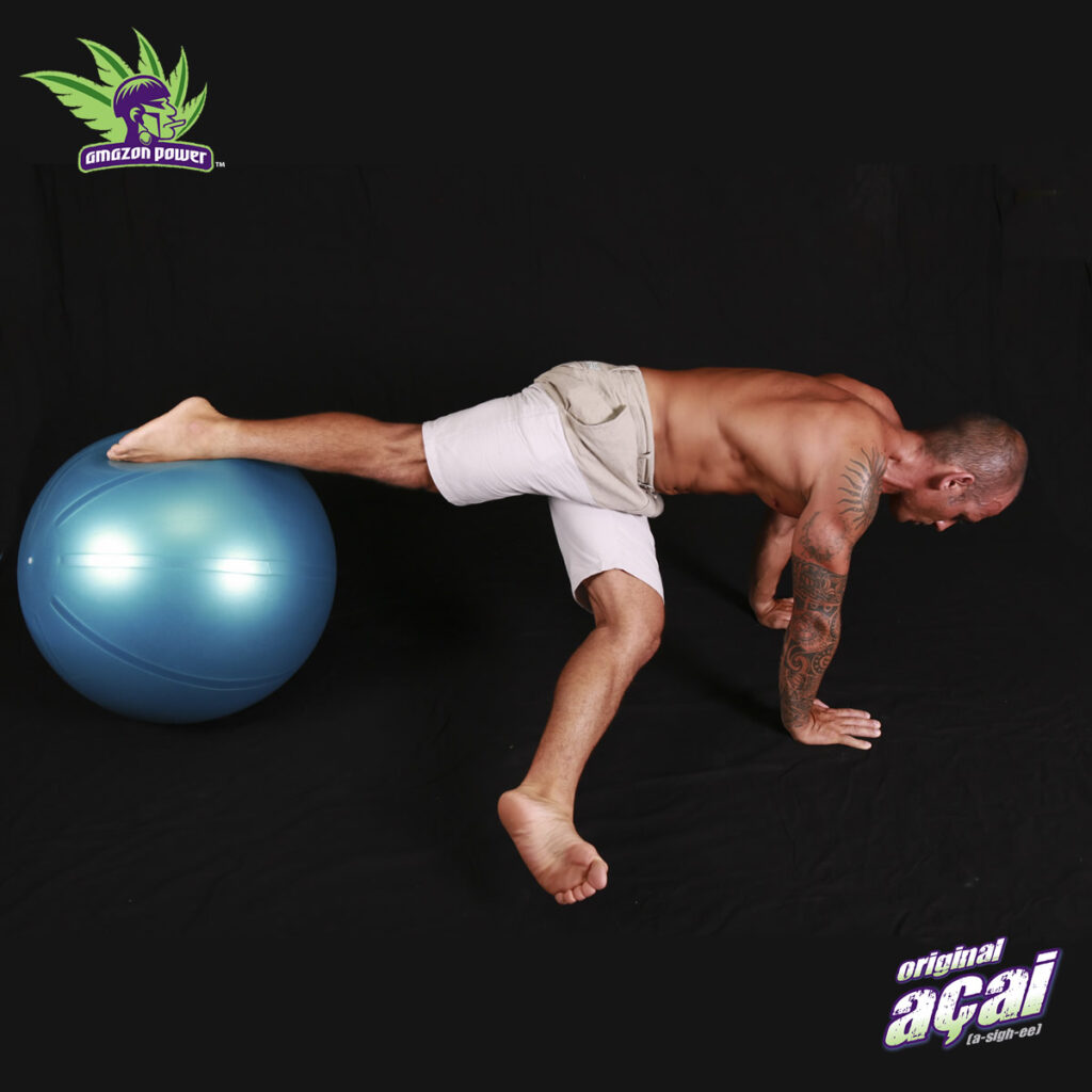 Jackknife Swiss Ball Exercise Amazon Power