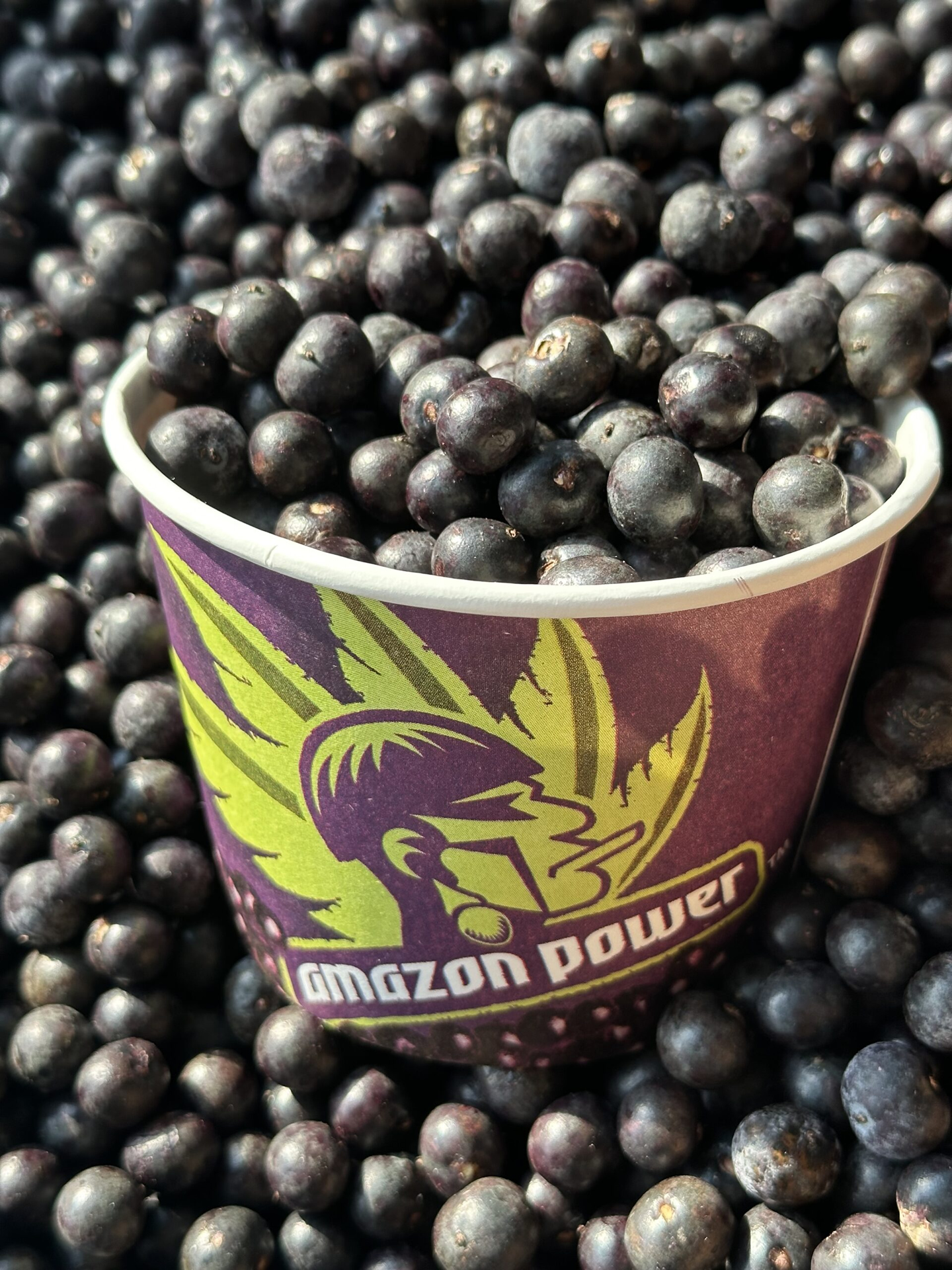 Acai Balde for Business - Certified Organic Premium Açaí Supplyer - Amazon Power